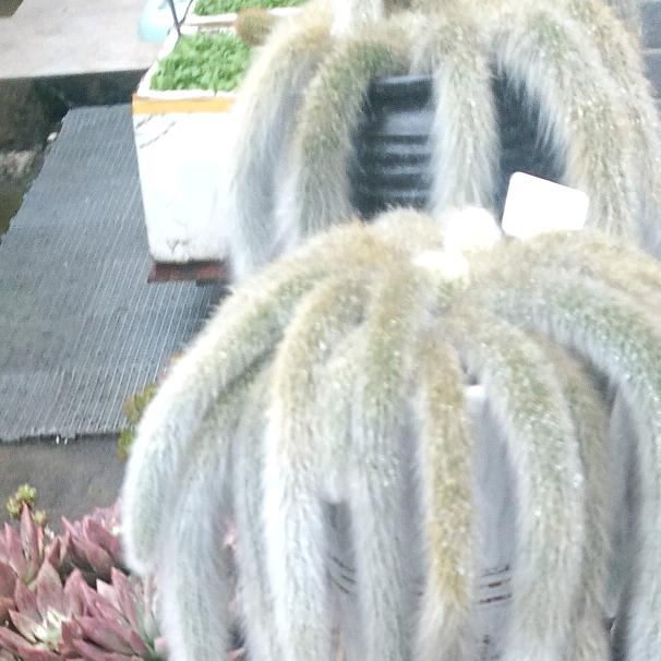 人生幸福靠健康