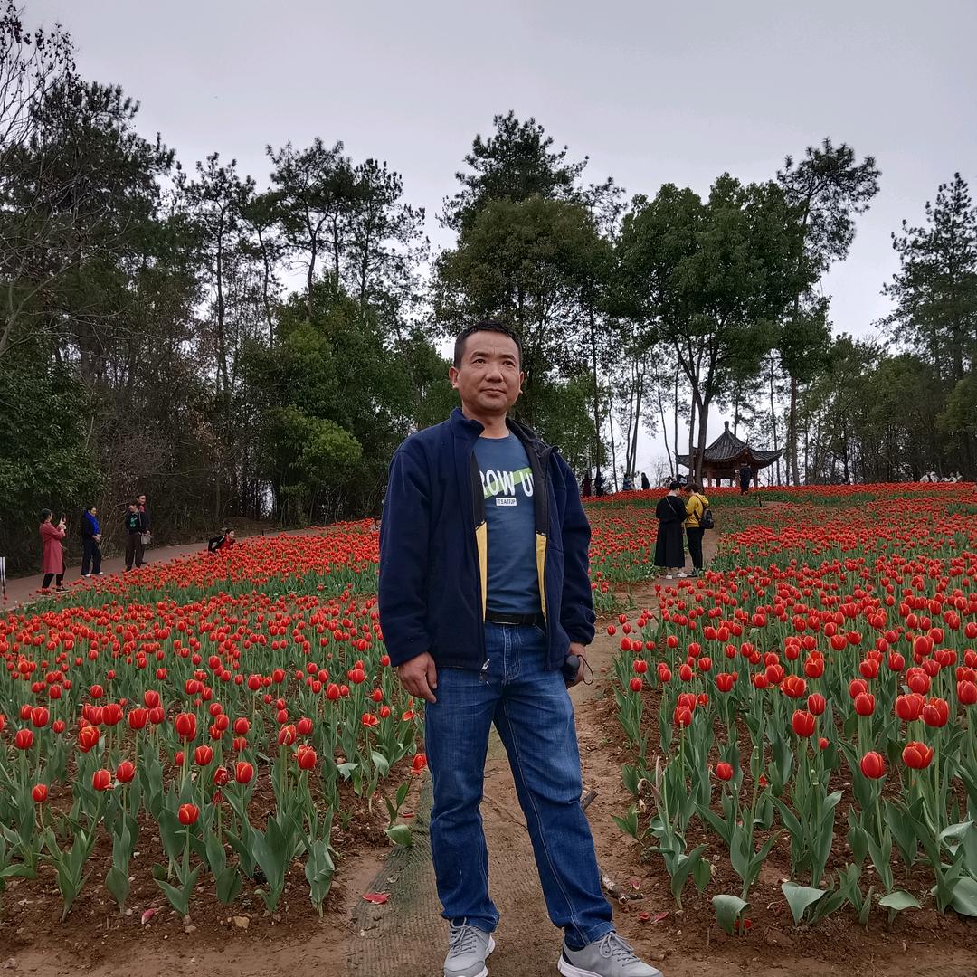 混鄧阿奎