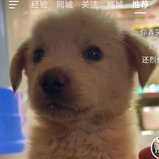 东方不败