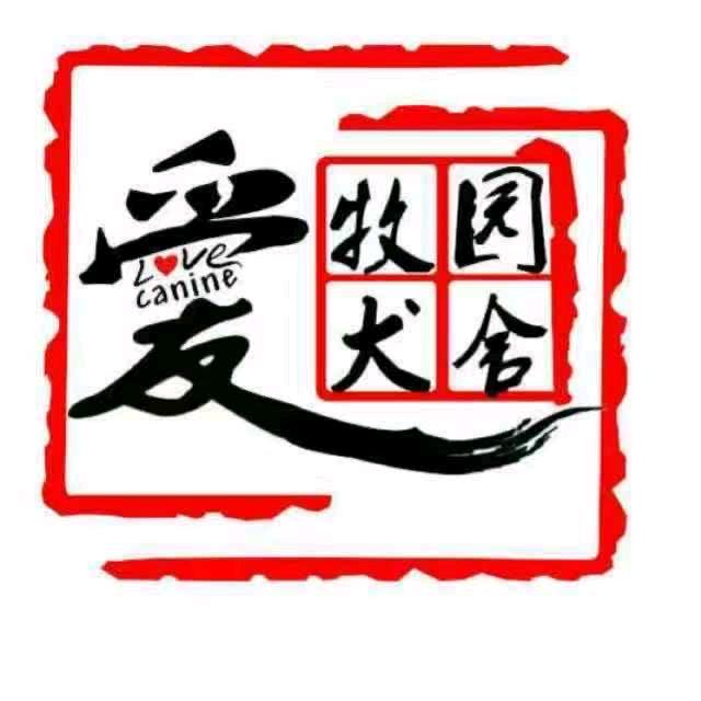 爱牧园犬舍比熊（直播号）