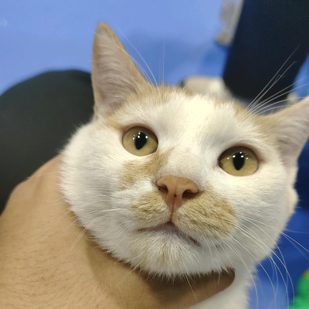 时尚潮人阿发🏸