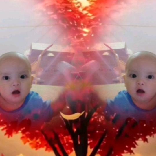 漂洋过海🛳️168🎄