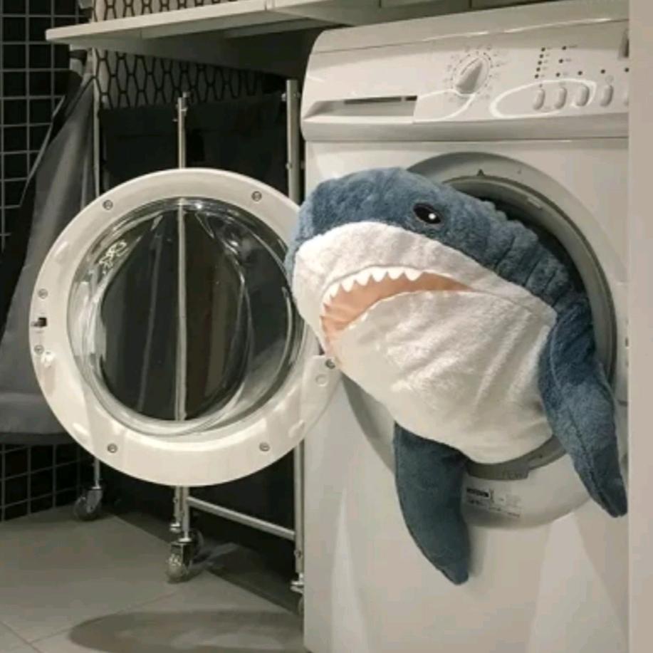 今天也要吃饱饭