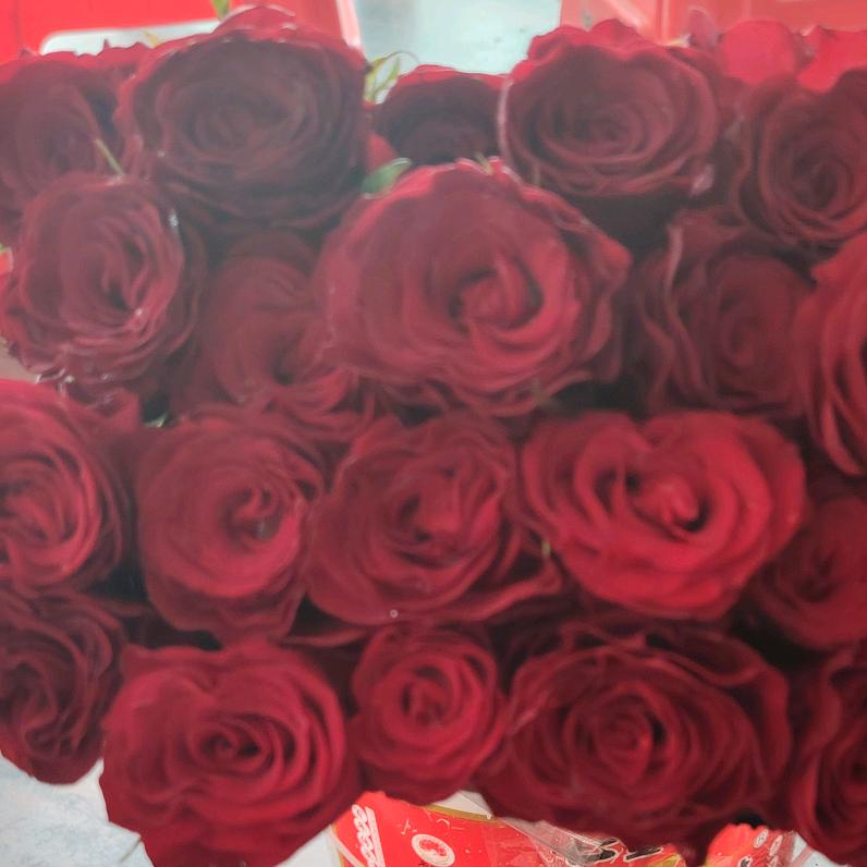 彭远群，明天会更好