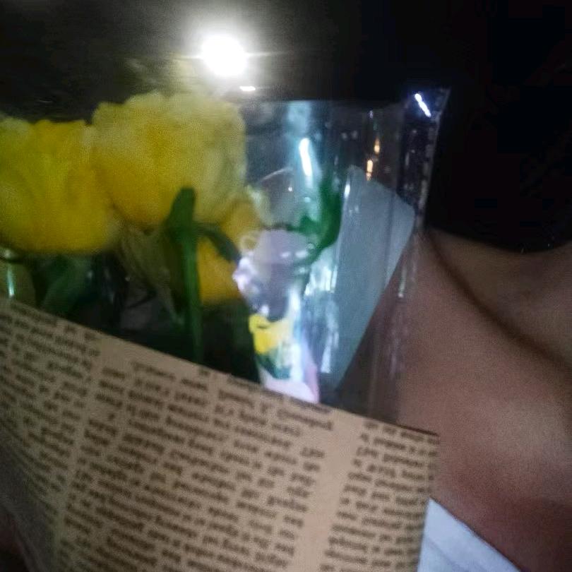 轻挽罗纱醉夕阳