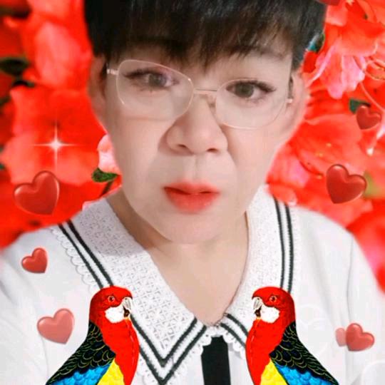 🌹《张姐》🌹