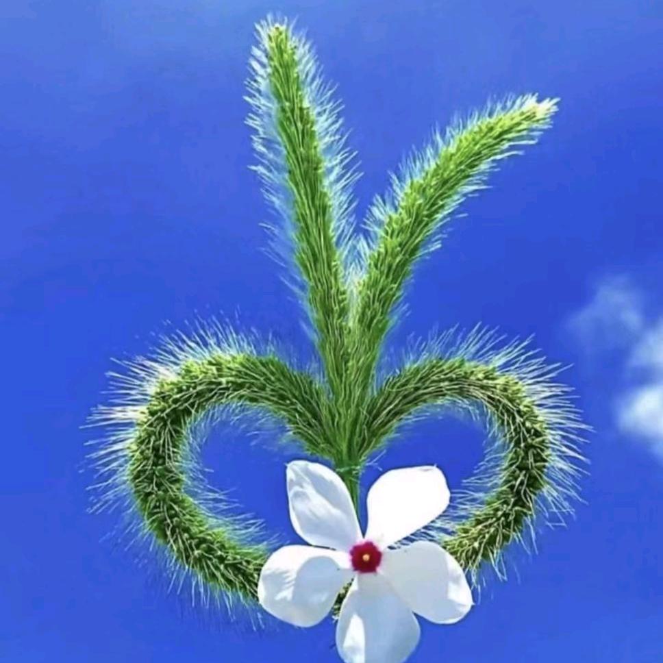 ໑ຼₒ₂5ღ᭄ 一路向阳