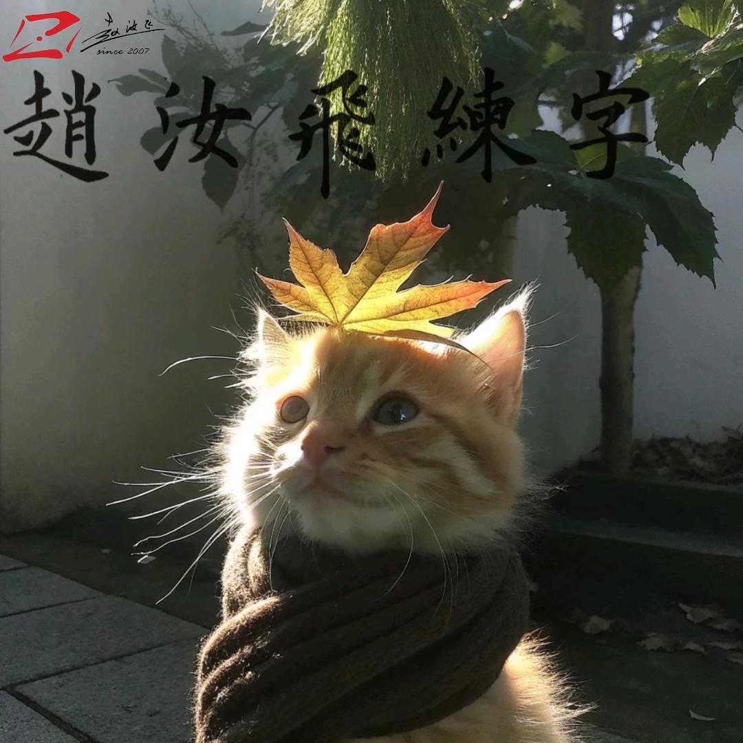 赵汝飞练字蕊蕊老师