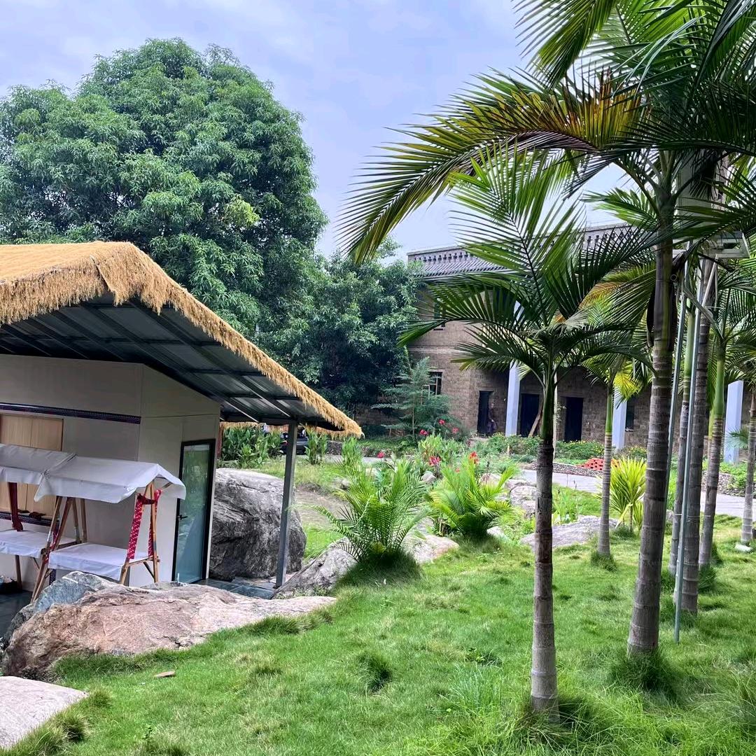 河南人在云南！