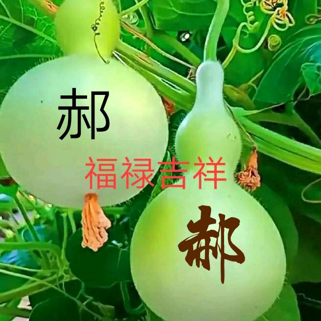 梦想成真(制作作品不易请留个，关注，红心