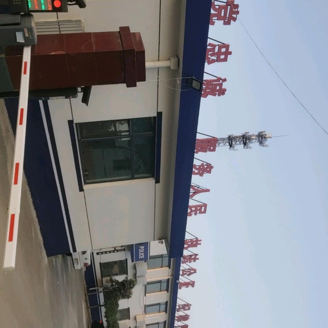 刘科长