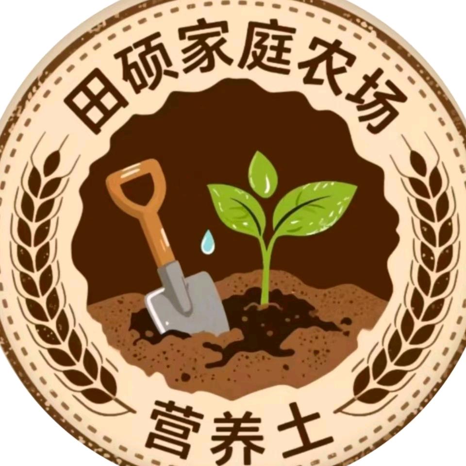 绿野素壤