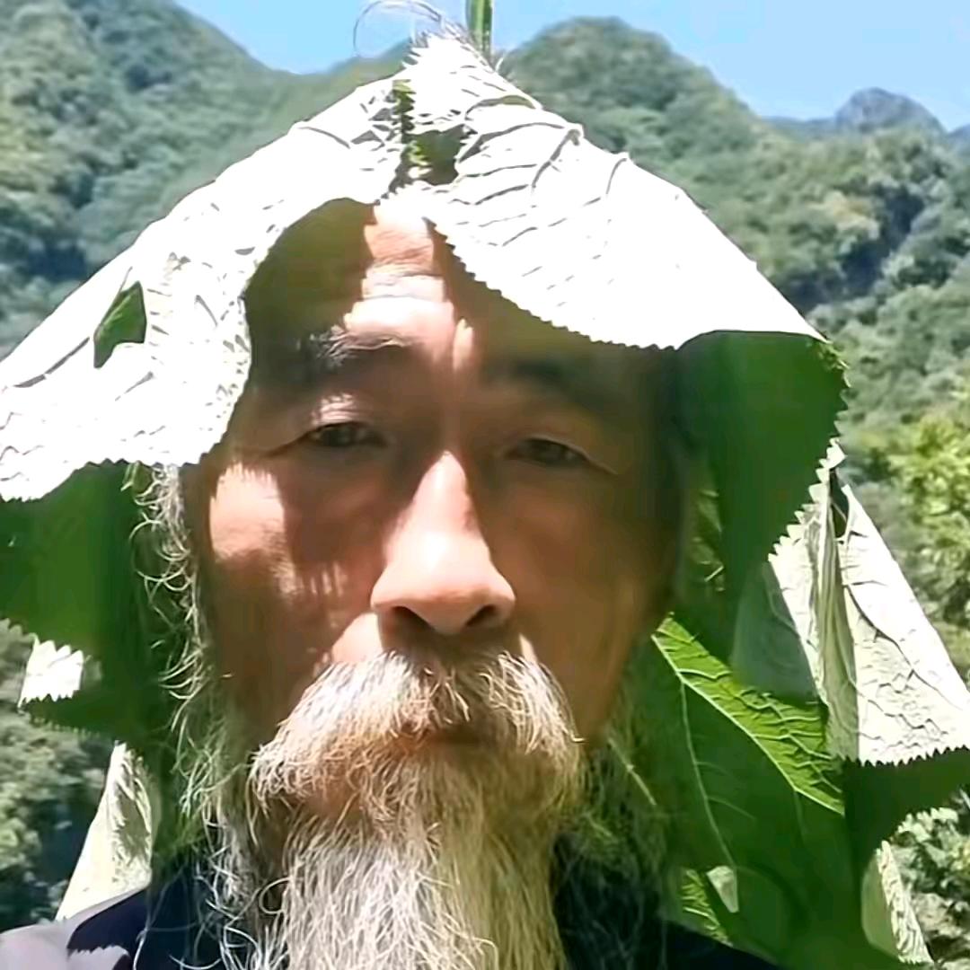 搞点肥牛778