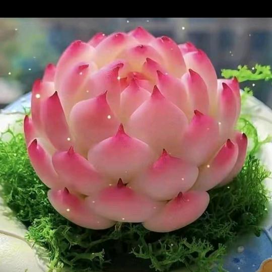 鲨鱼