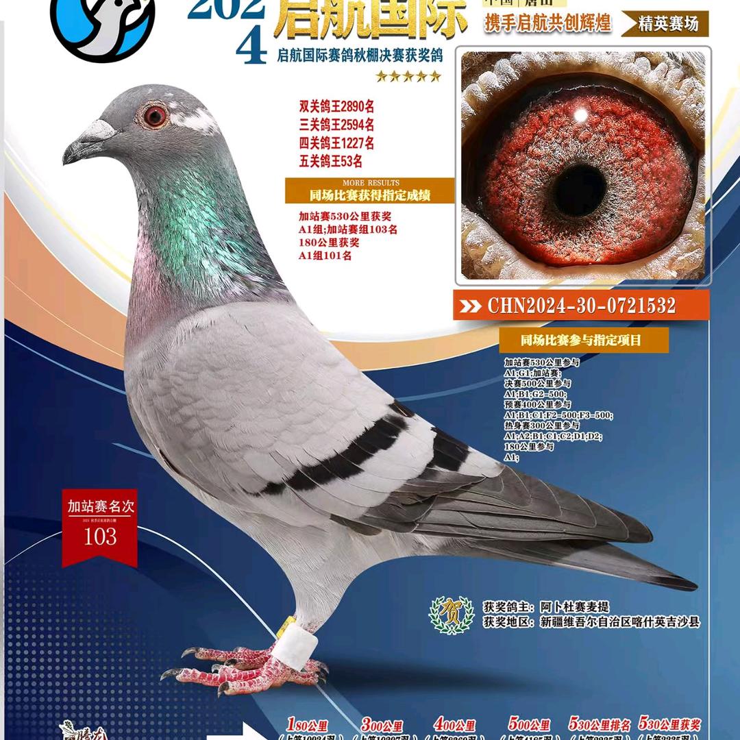 少爷鸽舍  阿卜杜赛麦提
