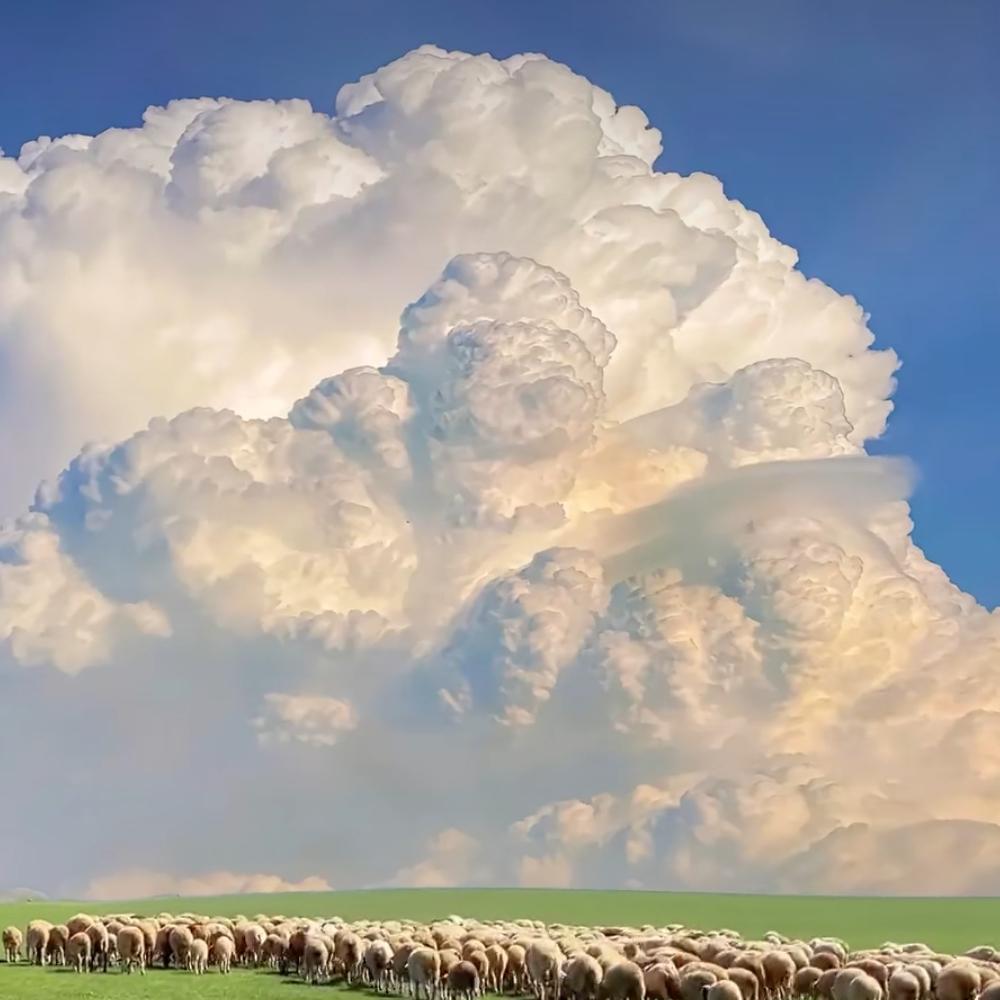 ℳঞᩚ❄🍊踏雪牧羊人🍇🌪꧔ꦿ᭄