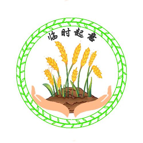 临时起意小分队