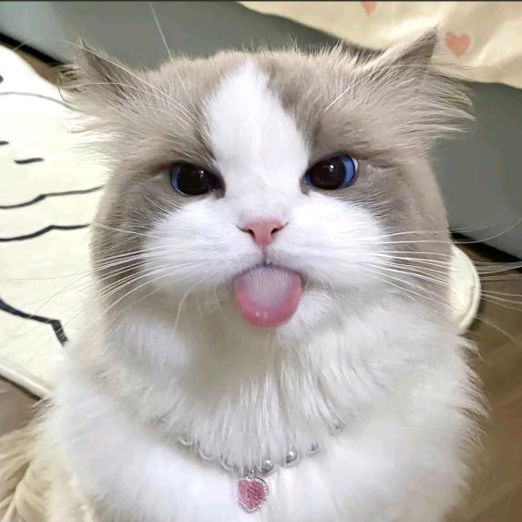 张莹.