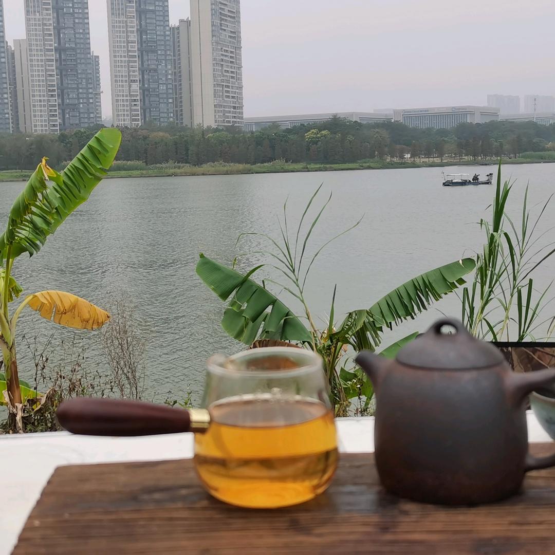 微名春风头像