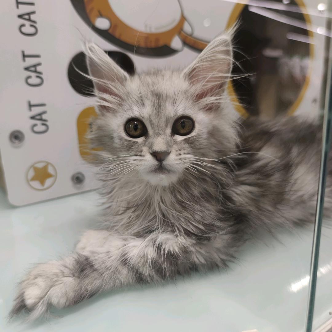 财神爷的亲亲闺女儿