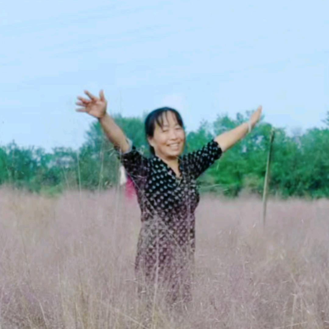凤姐