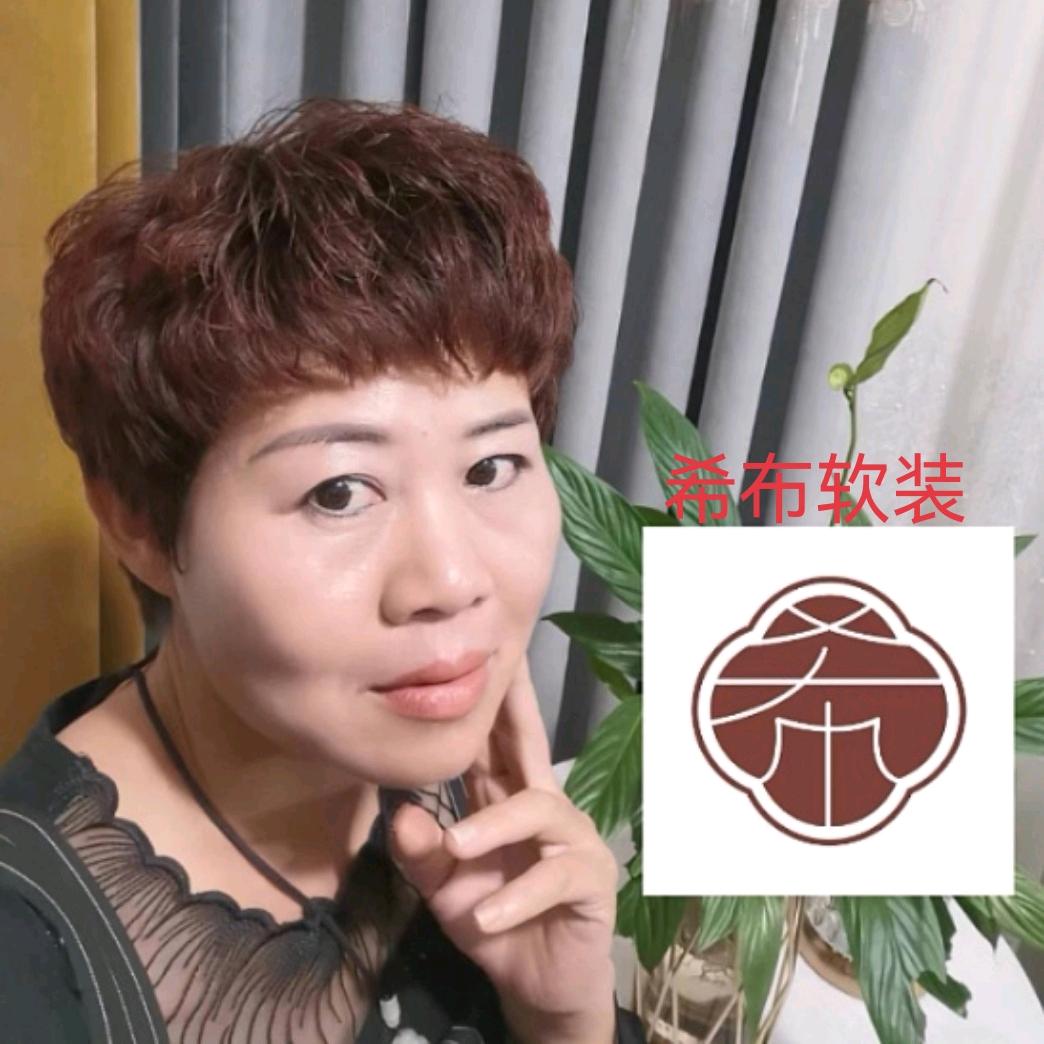 诏安希布窗帘惠英
