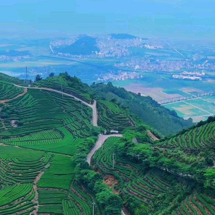 火炎焱燚1528