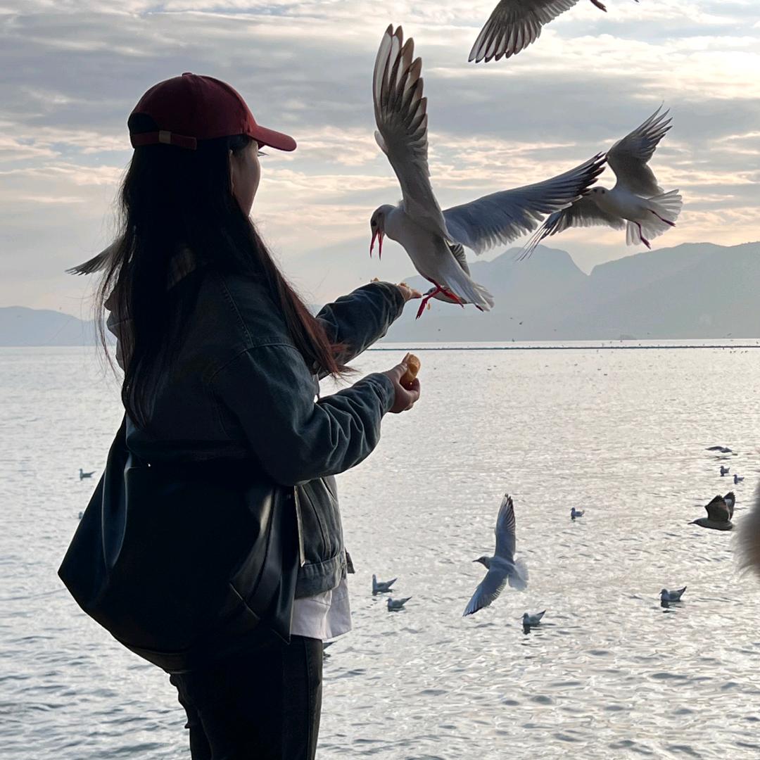 蓝丝带～程小黑🦋