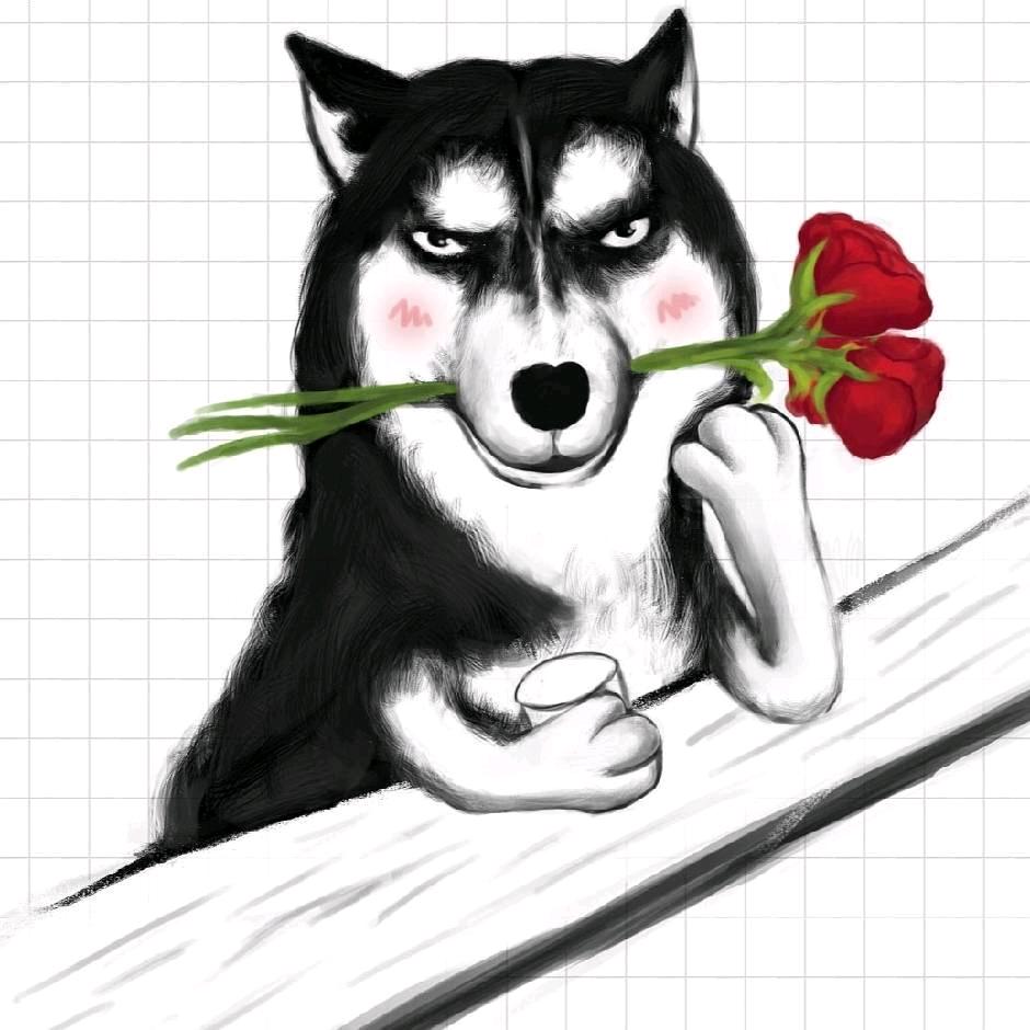 冰冰watermelon🐇