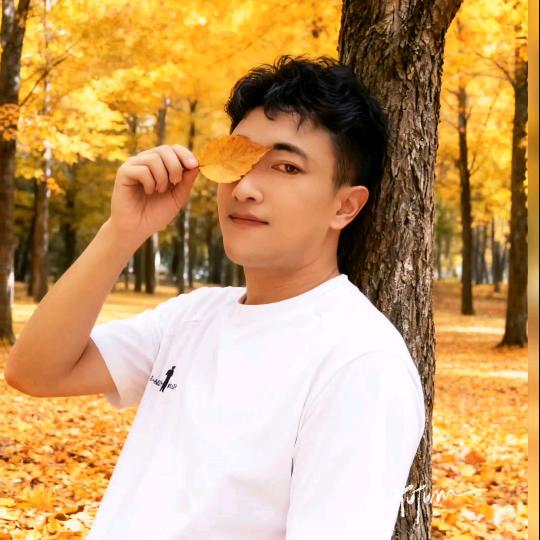 达杰