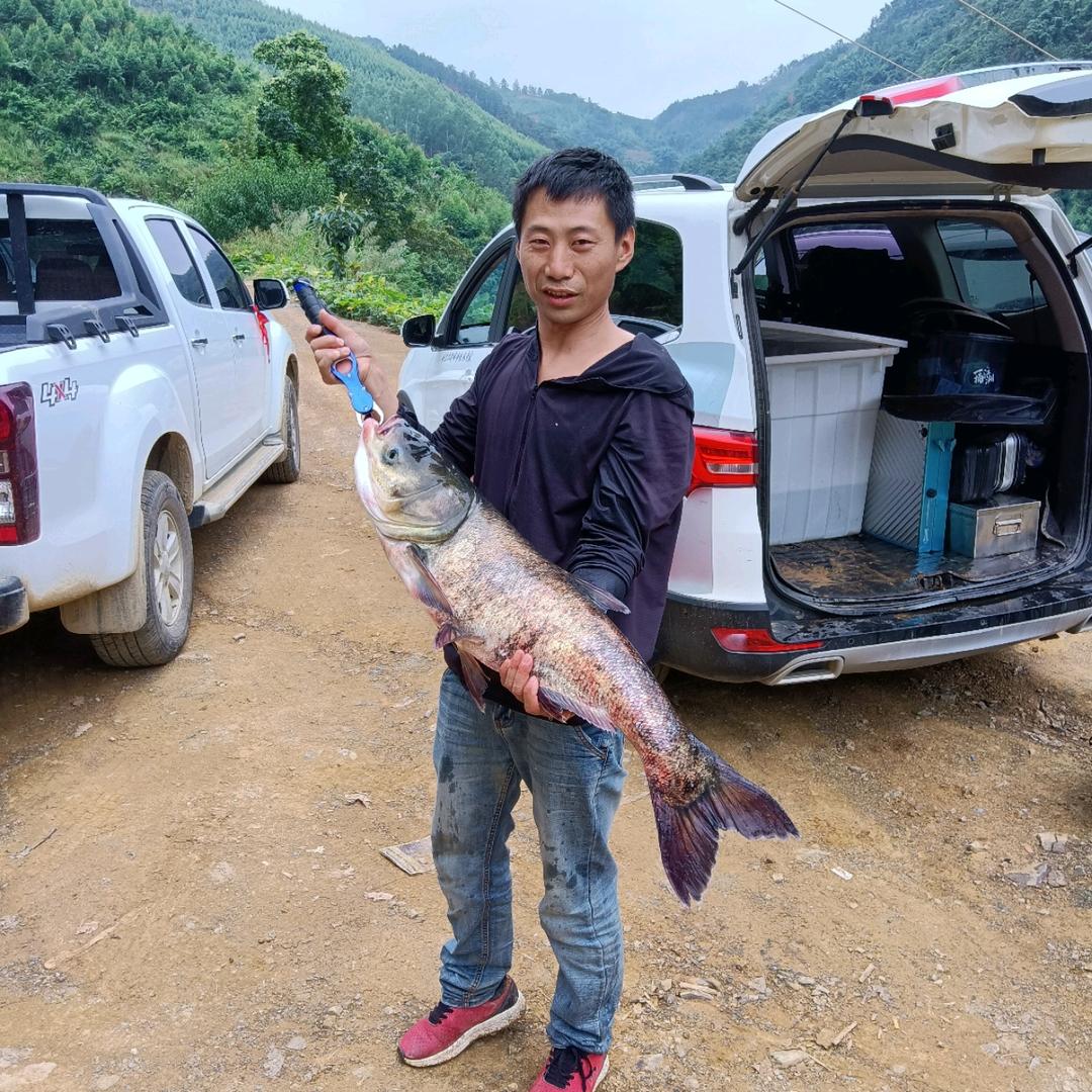 我也不想被鱼钓（五湖钓具）