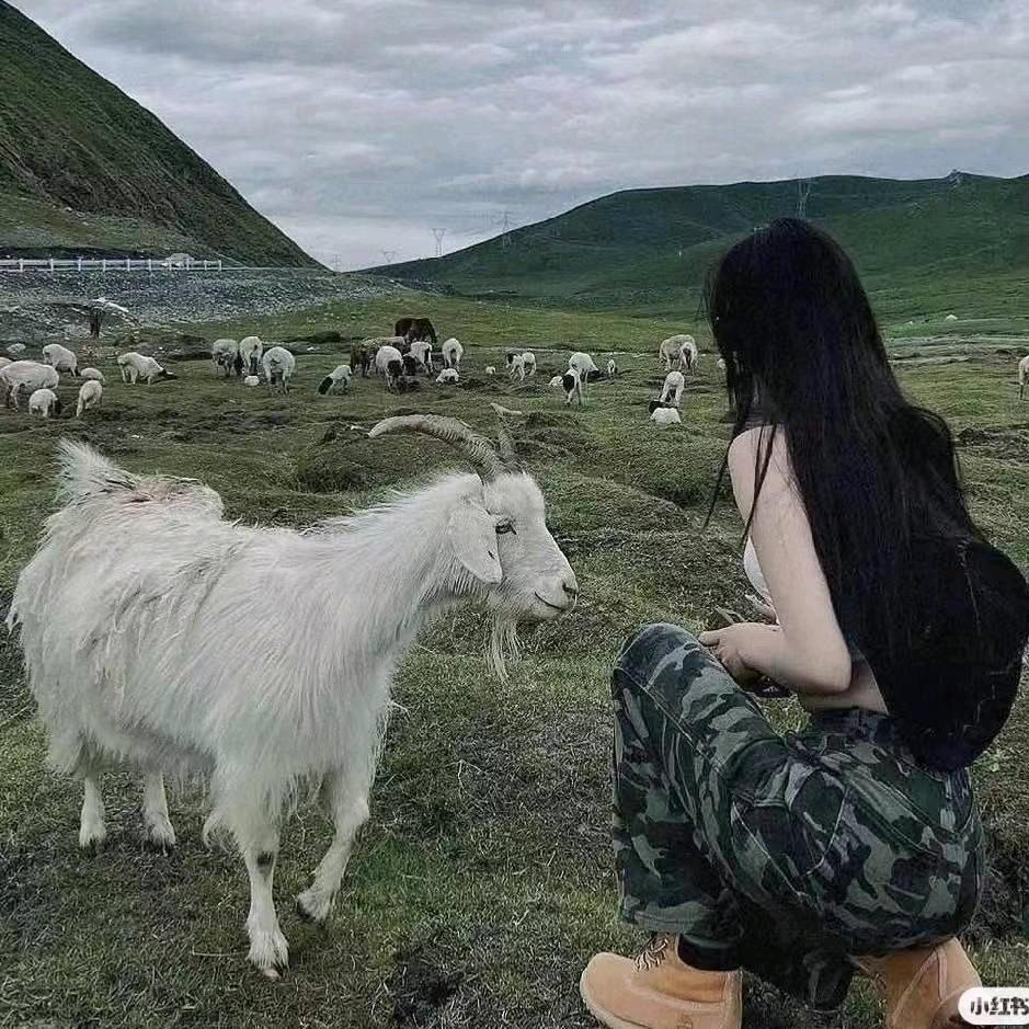 油