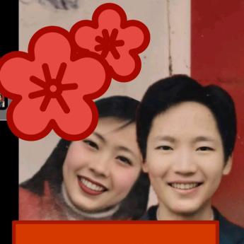 伪装的冷漠