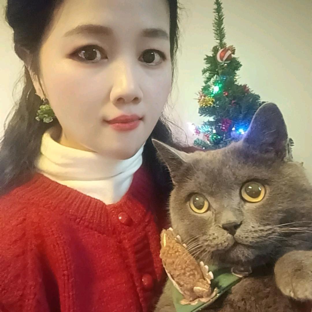 喵主子干饭日常