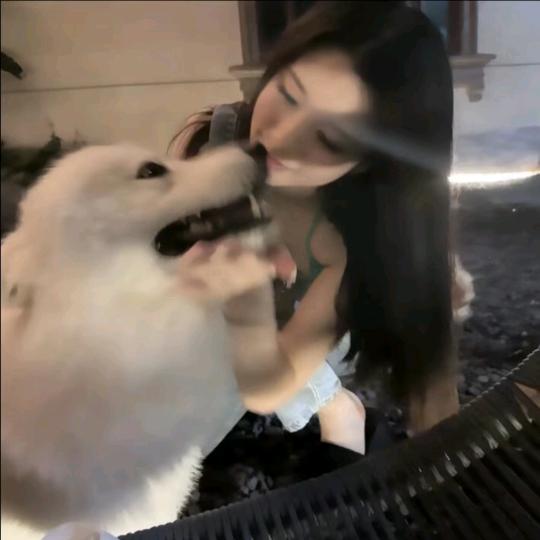 小鱼干_