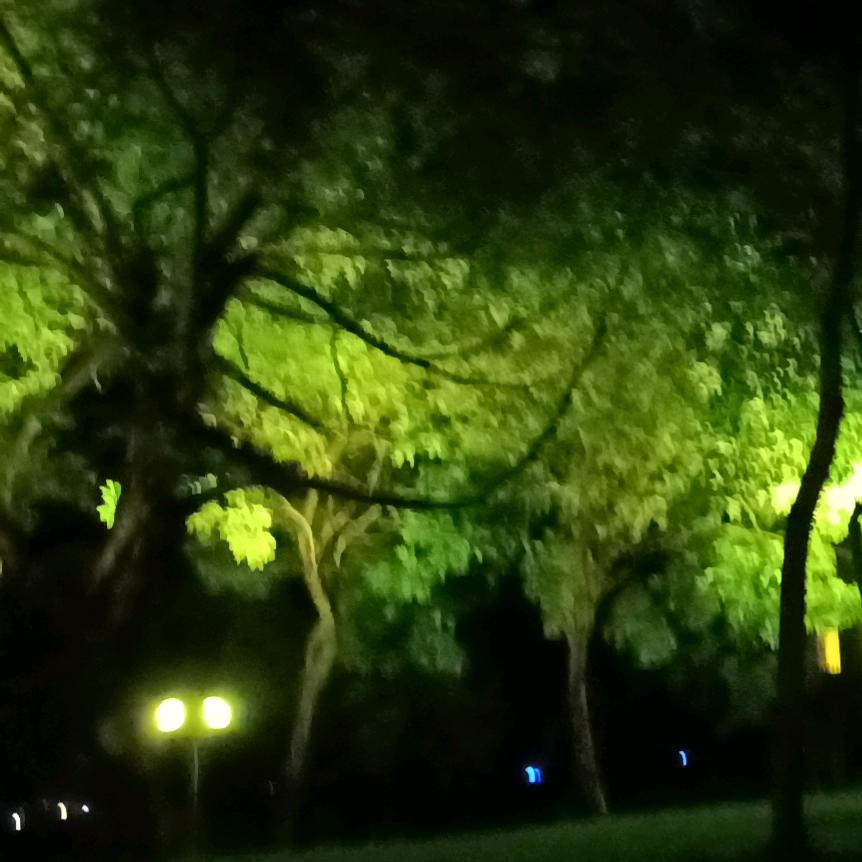 《陌陌》