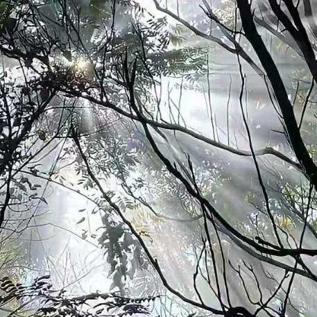 小元宝