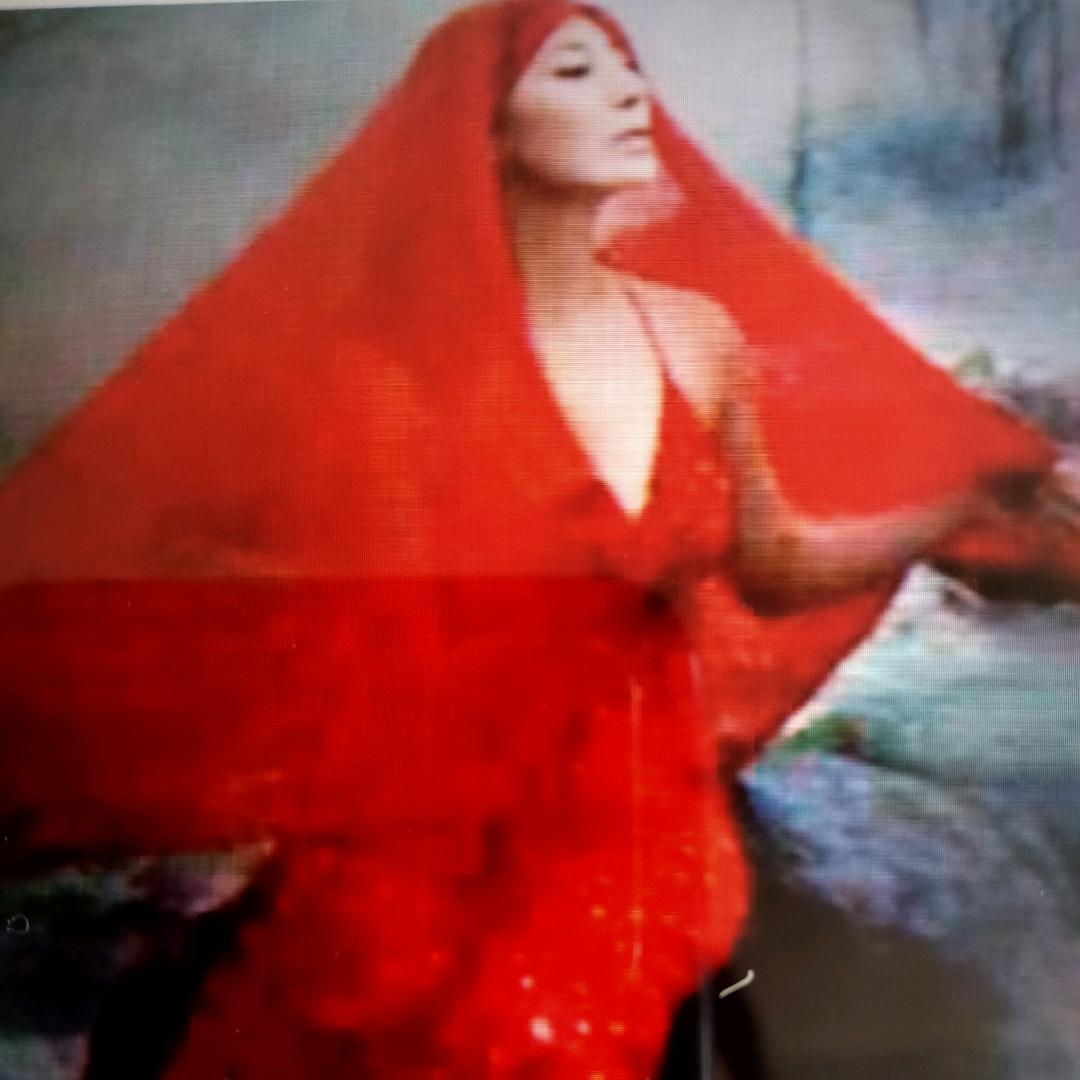 你是我通讯的好友