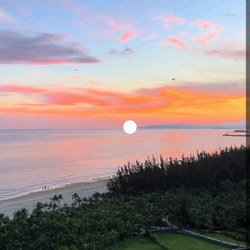 🌊🌊青鸟飞鱼♥