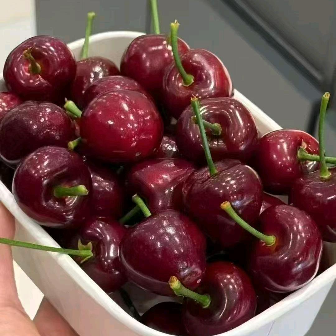 好人一生平安🇨🇳