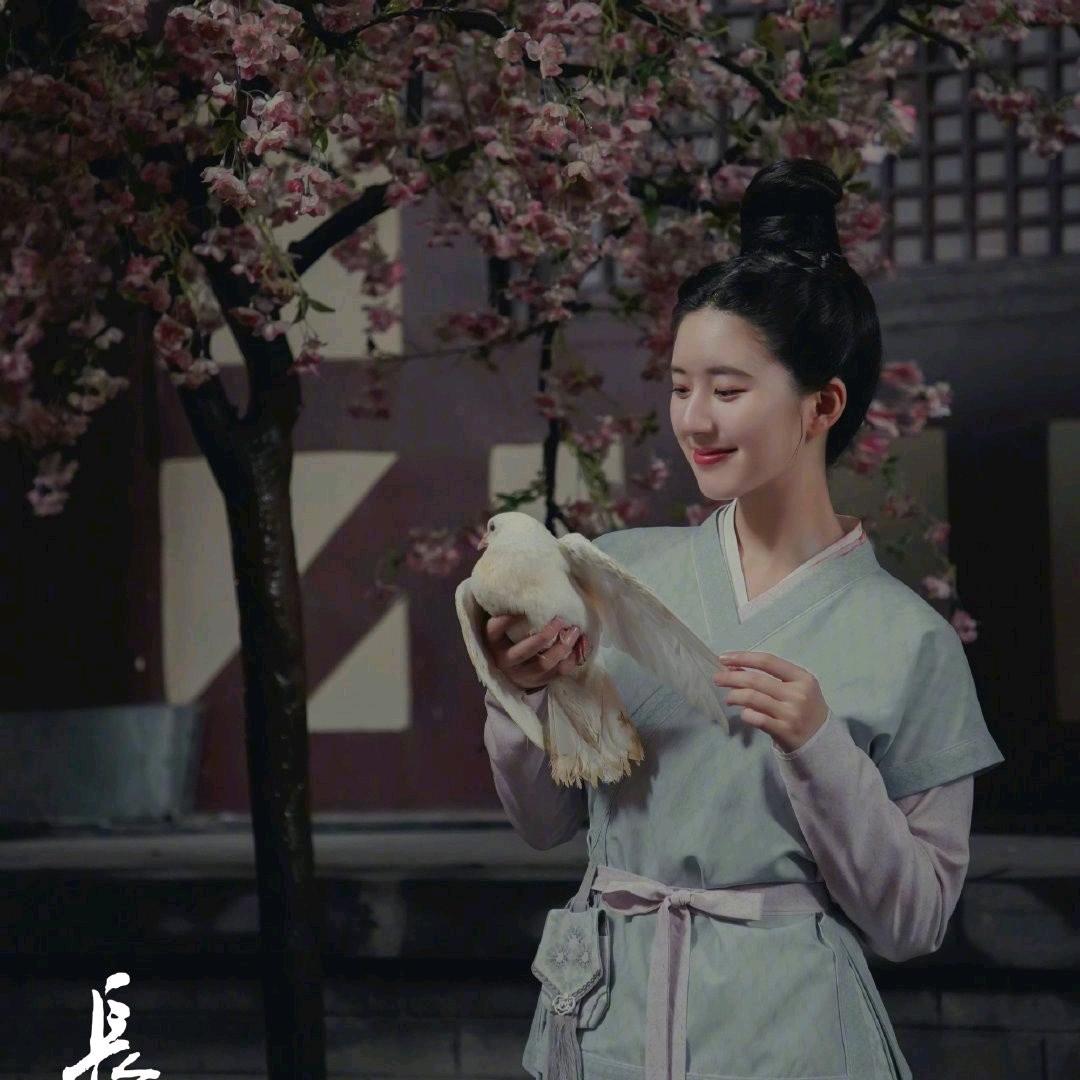 朵朵