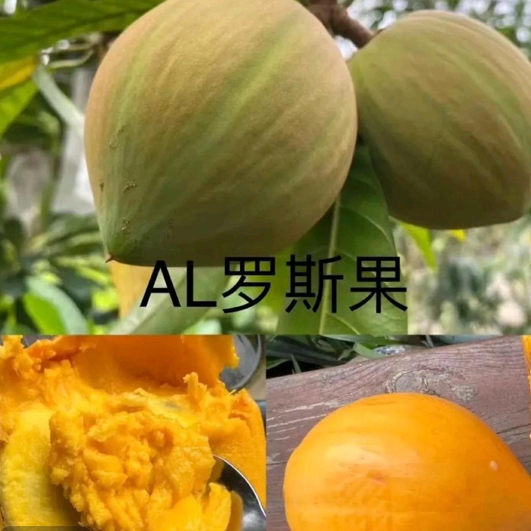 东峰果树苗木专营店