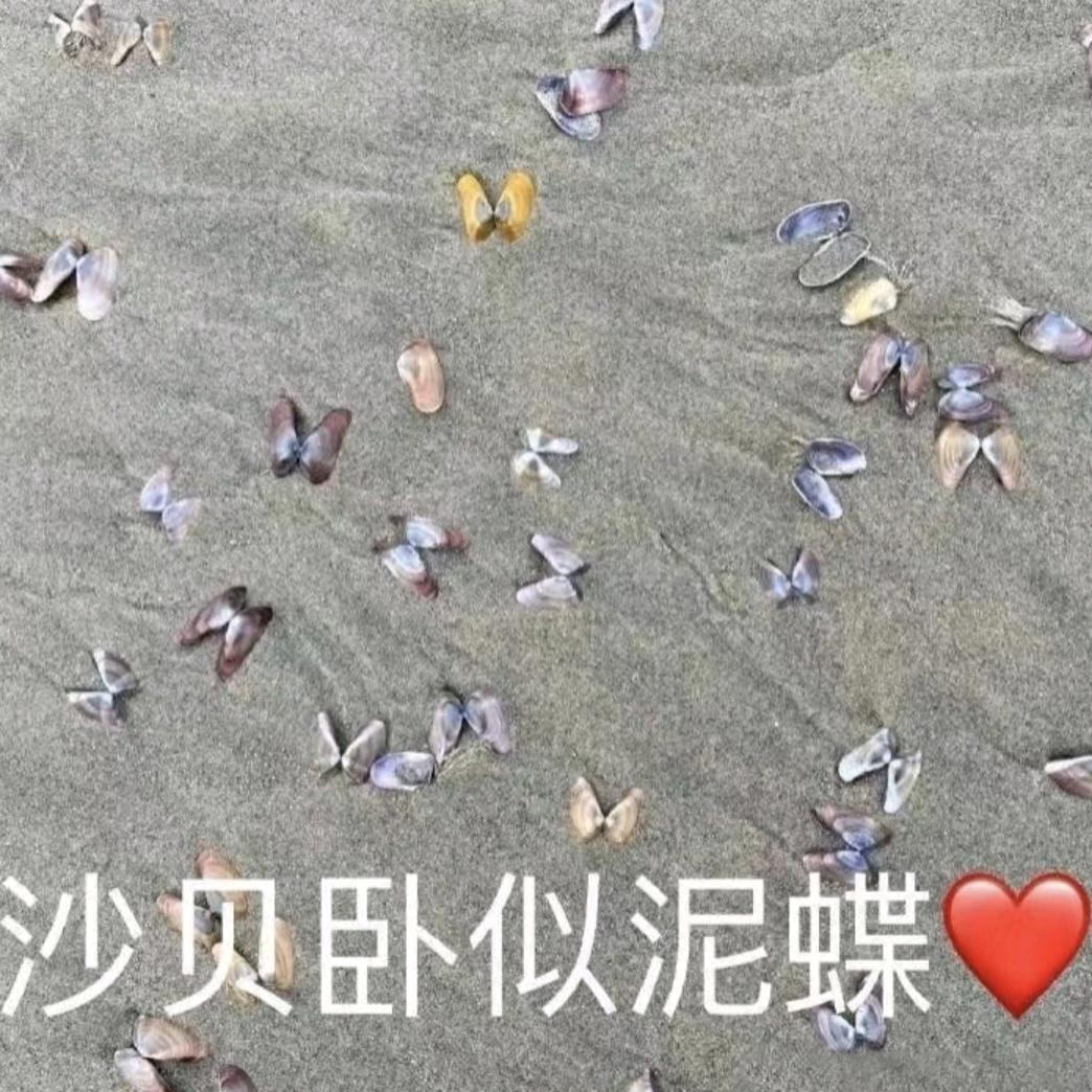鹿死谁手