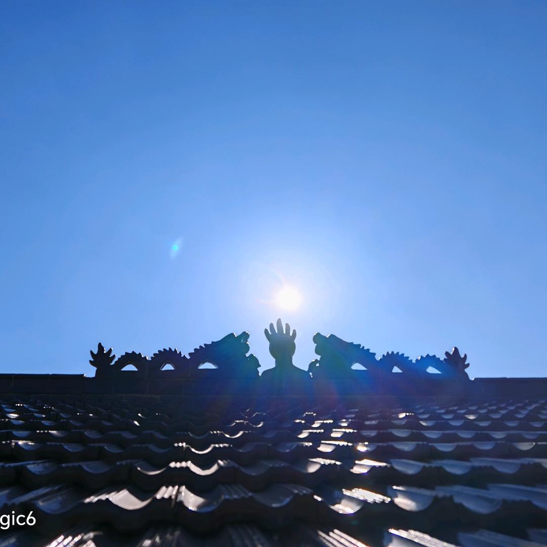 健身运动⛹️ 教练