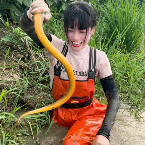 善家小师妹