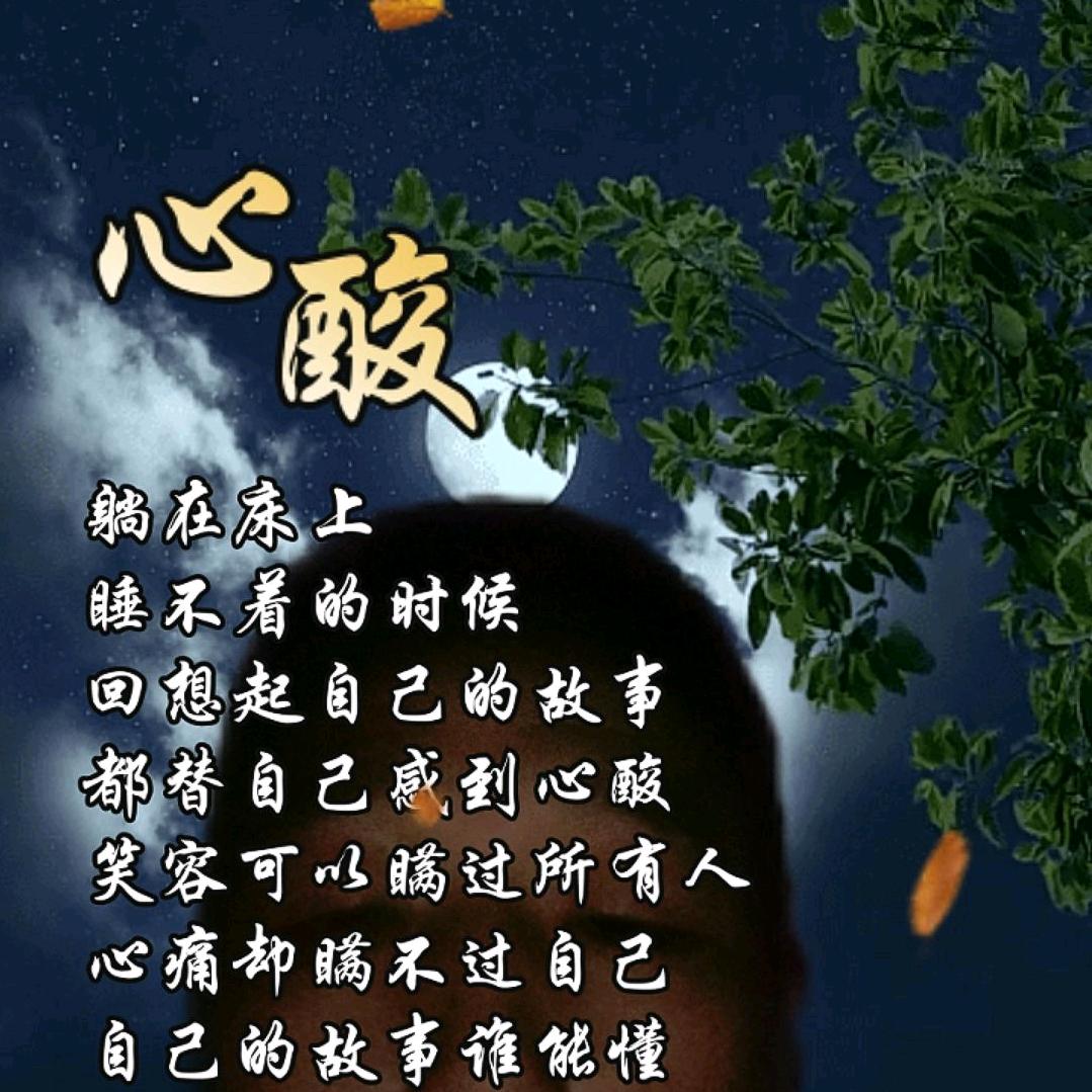 独来🐰独往