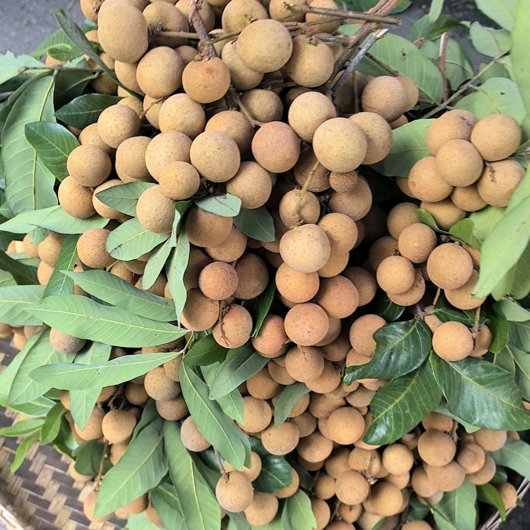 💕一果之缘（水果特产）