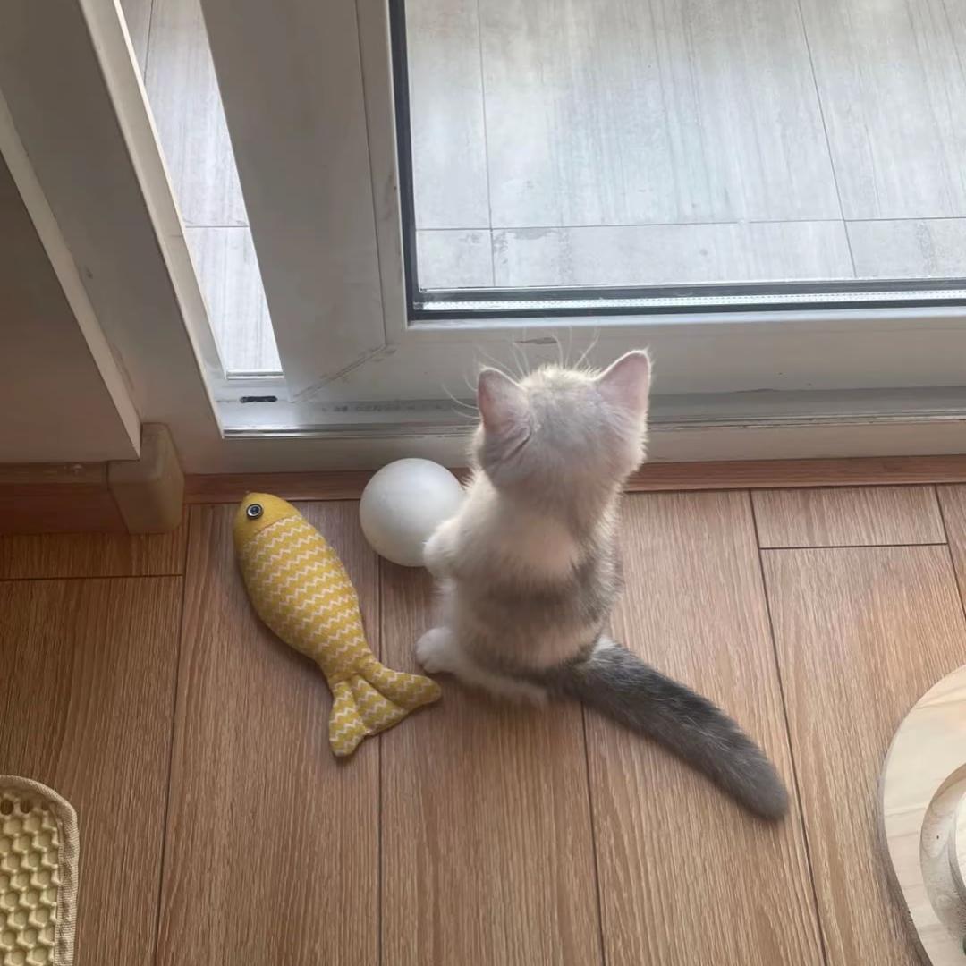 我不是小明（见过郑润泽）