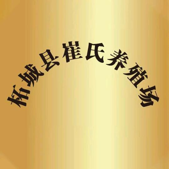 老崔鸡鸭鹅苗批发（柘城）