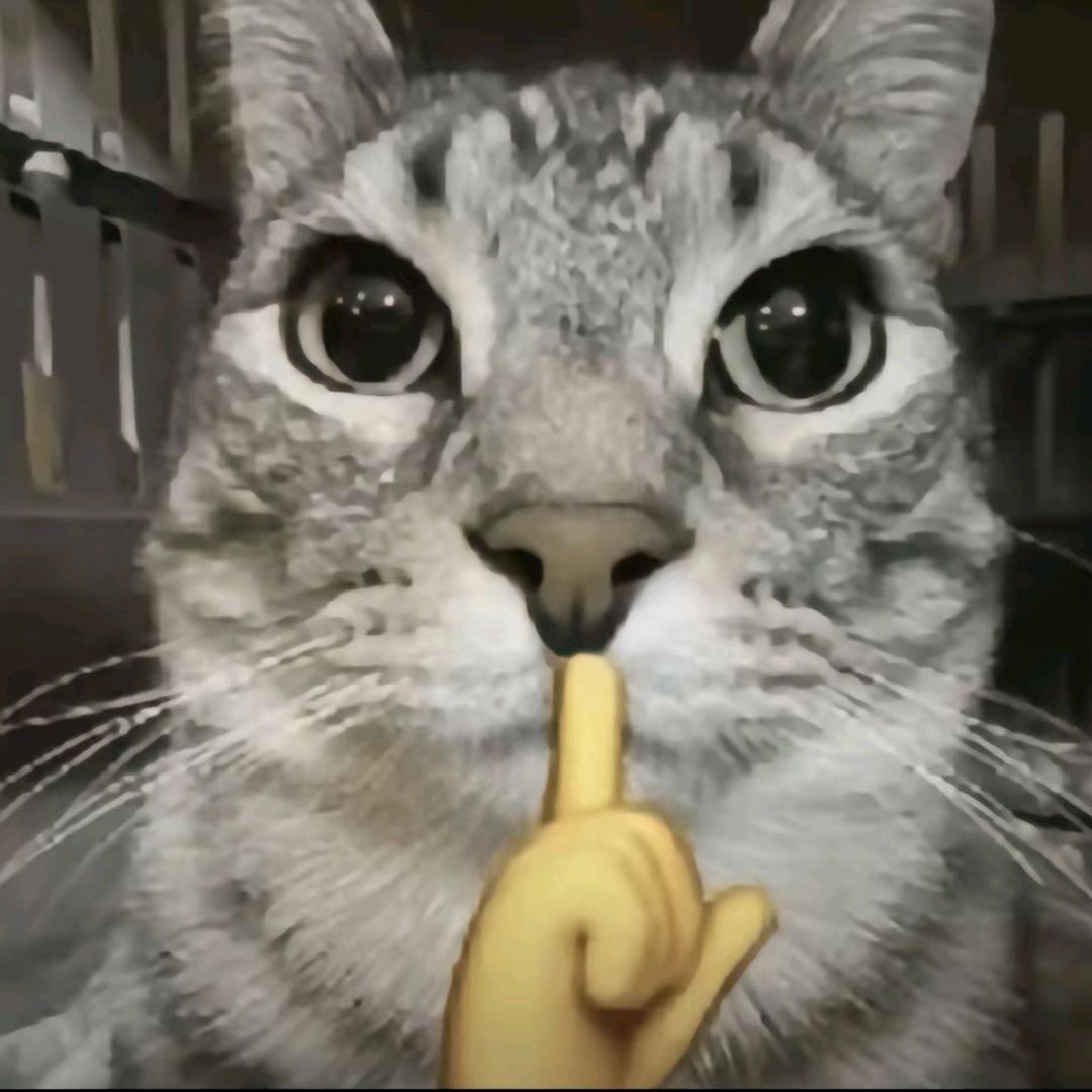 肖菜